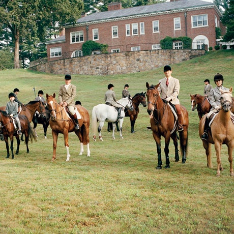 horses