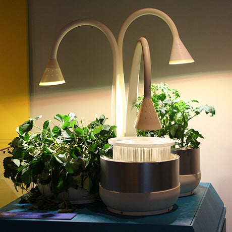 MIT Museum Exhibit Shows Off Students' Inventions