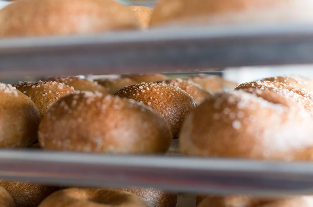 Exodus Bagels