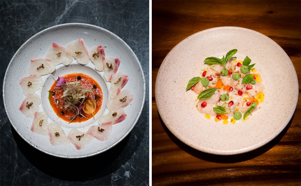 Madai Usuzukuri (cured sea bream) (left) and Nantucket Bay scallop ceviche