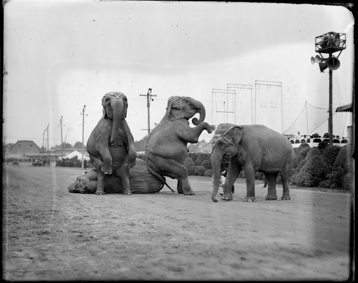 Throwback Thursday: These Vintage Photos of the Brockton Fair Are Wild