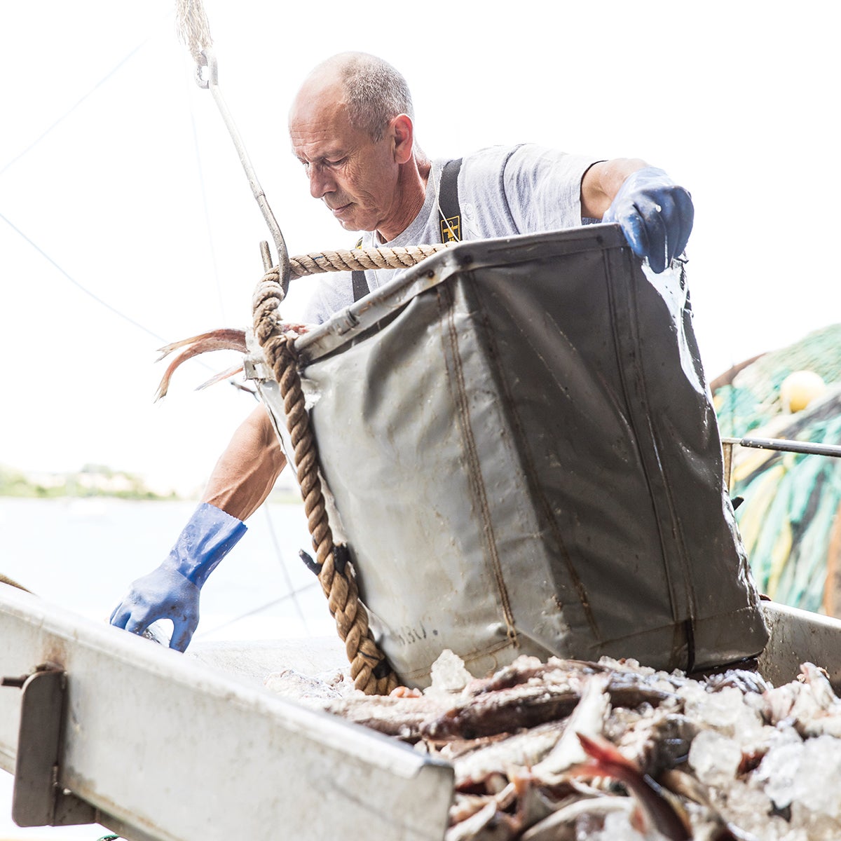 new bedford port fish haul