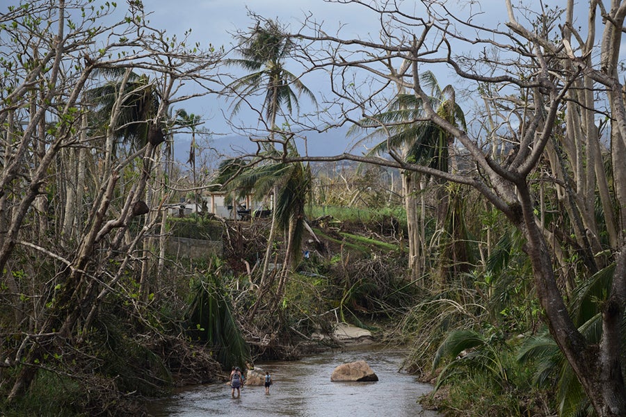A couple bathes in a river beneath strewn palm trees in Puerto Rico