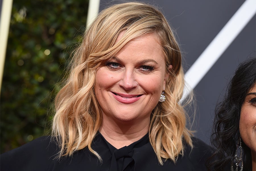 Amy Poehler Had a Strong Message for the National Rifle Association