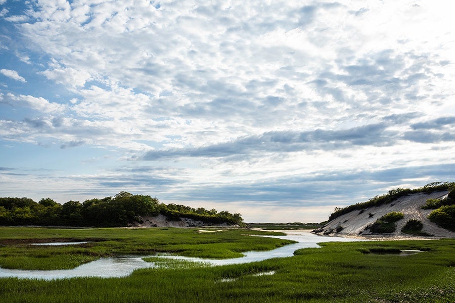 A New Hotel, AWOL, Is Opening at the Tip of Provincetown