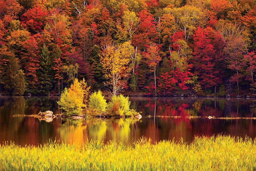 fall road trips vermont foliage tour