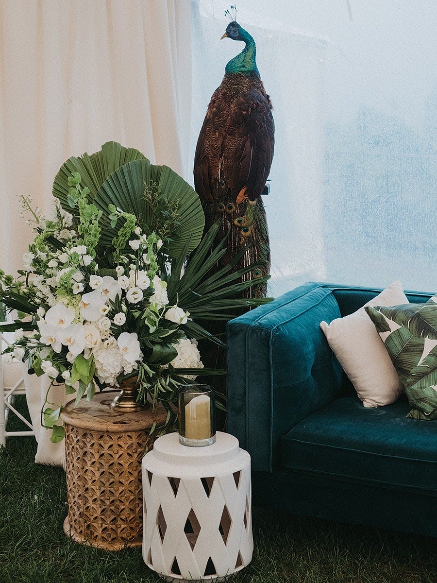 peacock statue from Table & Tulip