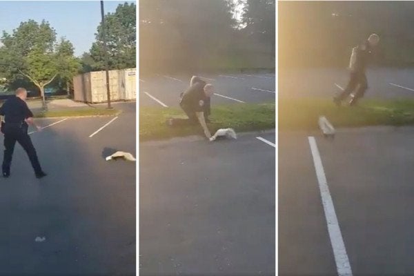 Cambridge Police Learned What Happens When You Help a Skunk