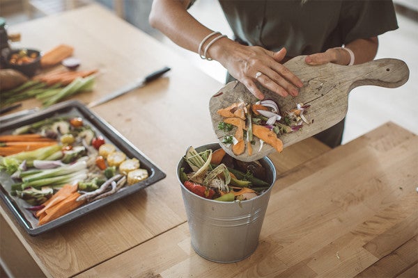 A Beginner's Guide to Composting