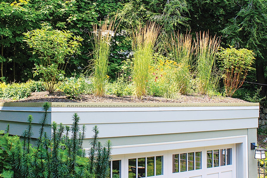Everything You Need to Know About Sustainable Design