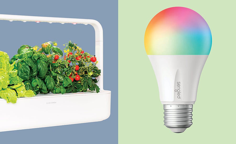 Everything You Need to Know About Sustainable Design
