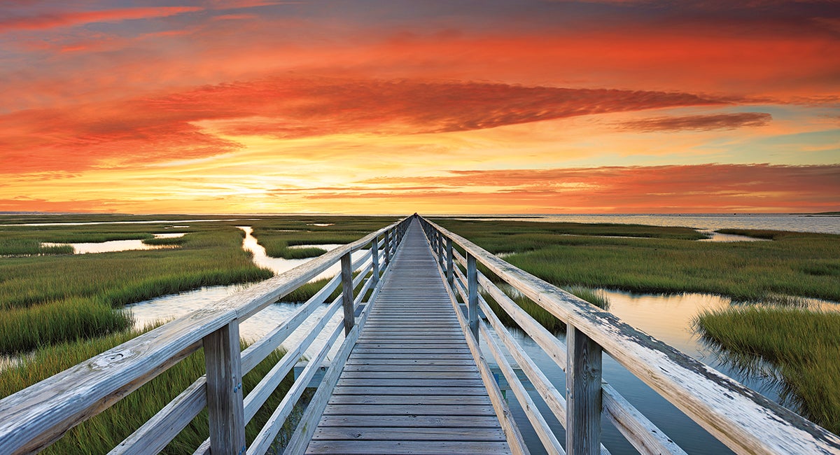23 Reasons to Visit the Cape and Islands All Summer Long