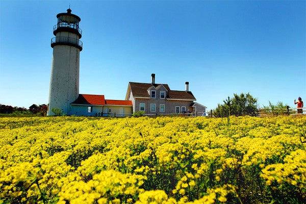12 Gorgeous Lighthouses to Visit along the Massachusetts Coast