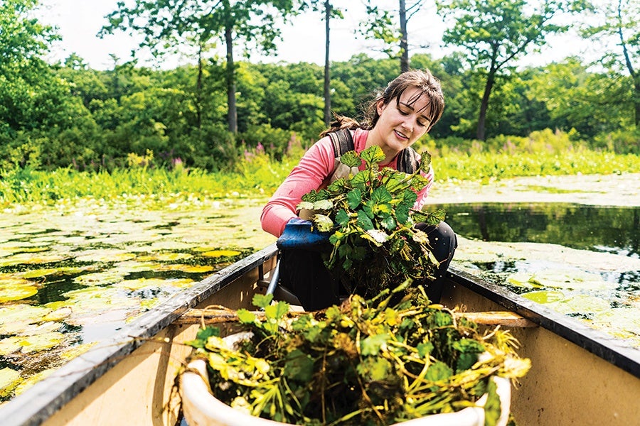 24 Ways to Give Back and Volunteer around Boston This Year