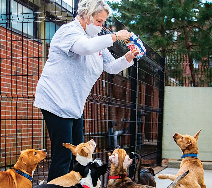 24 Ways to Give Back and Volunteer around Boston This Year