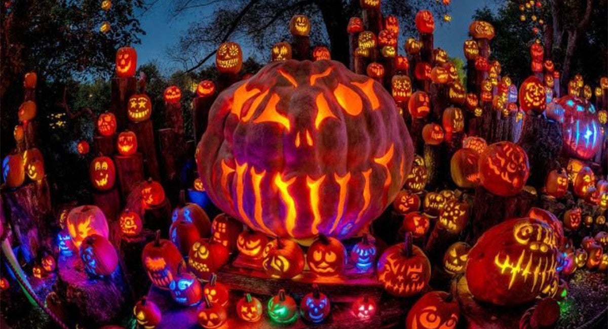 jackolantern1200x650.jpg