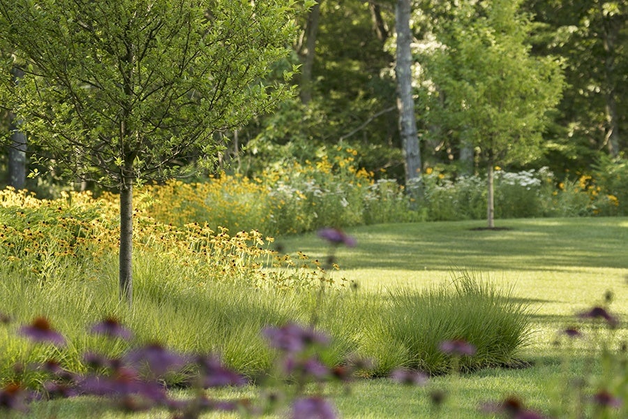 Design Insider: A Backyard Landscape Oasis in Dover, MA - Boston Magazine