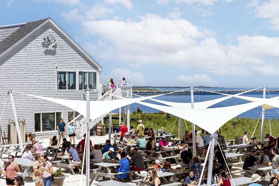 tree house brewing in sandwich