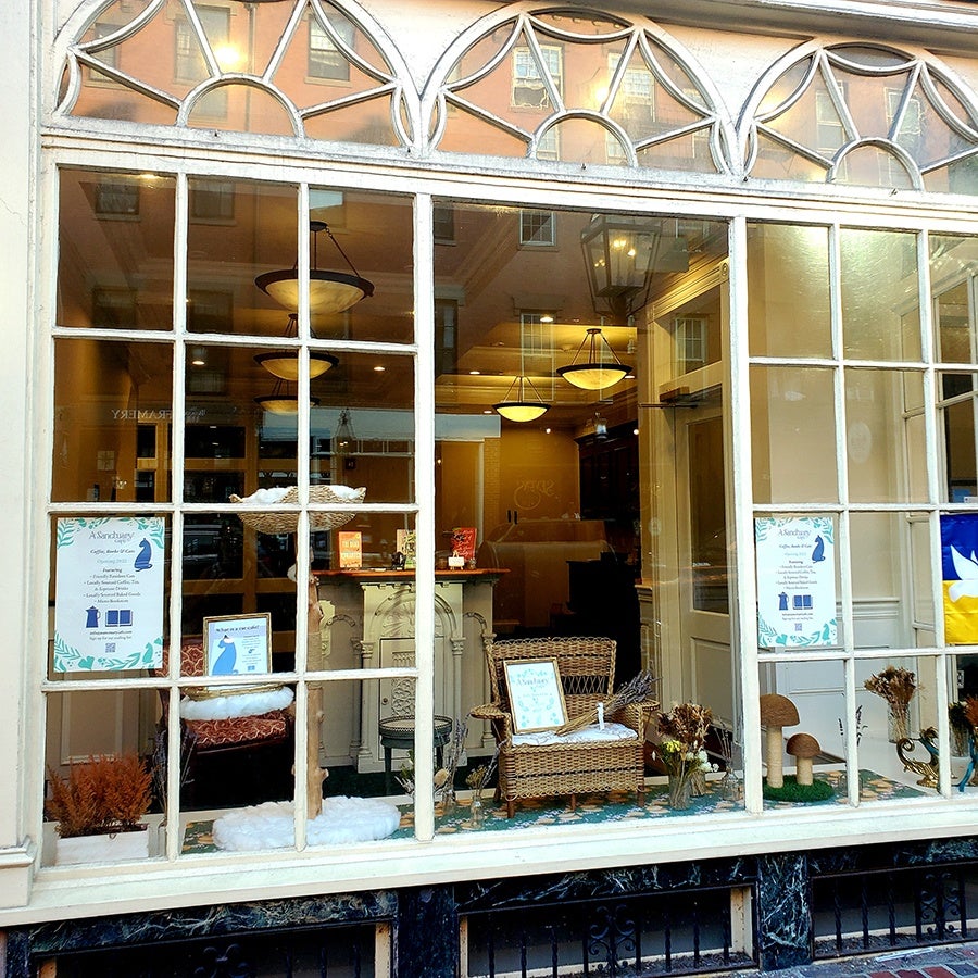 An elegant, large window looks into a partially complete store, featuring cat beds and other cat-related items.