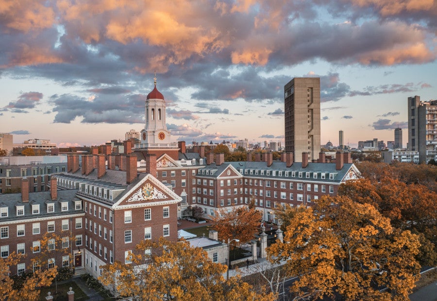 Where to Stay, Shop, Dine, and Experience Cambridge Culture