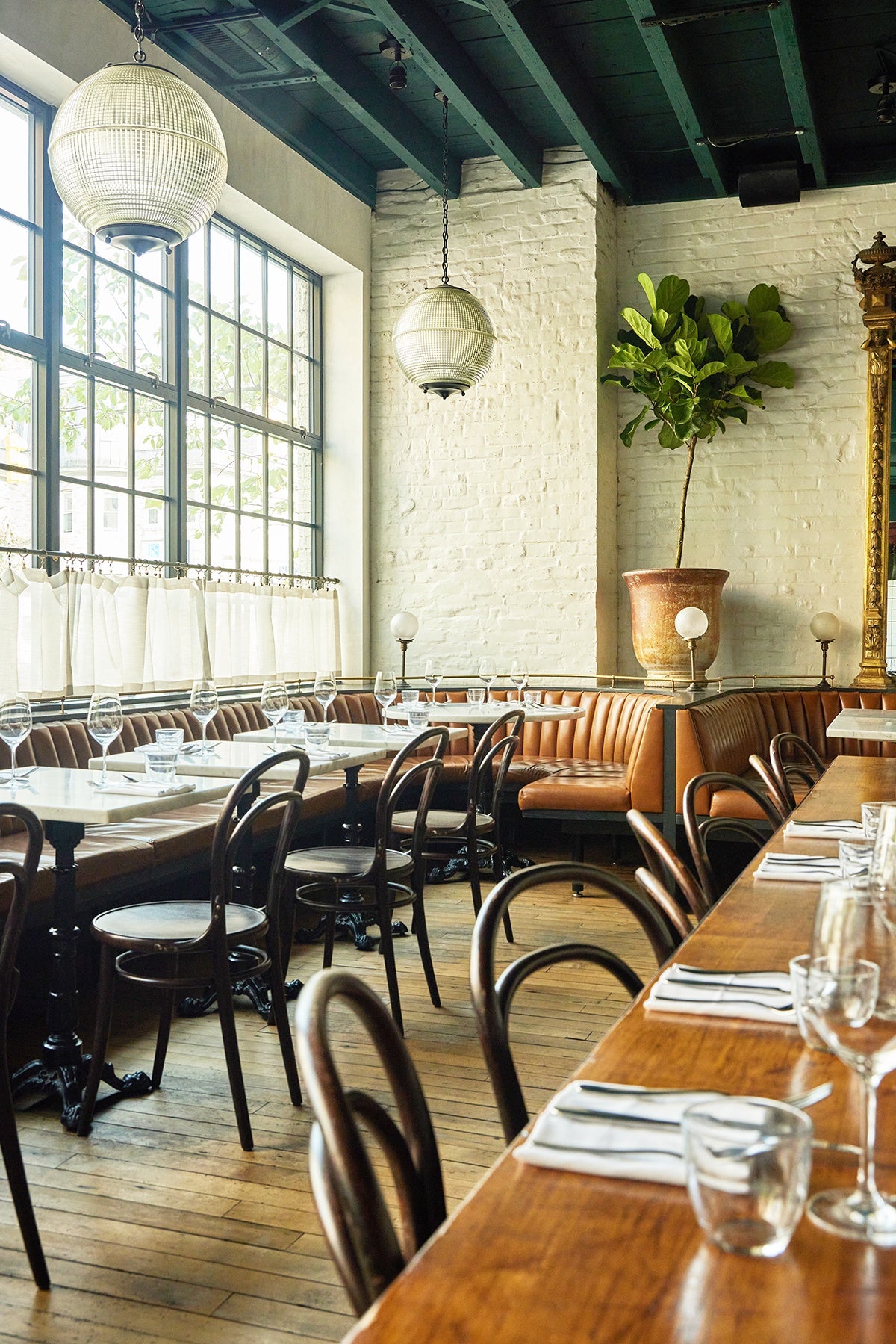 A bright restaurant interior photographed during the day, with white walls, a large potted tree, and the edge of a large mirror with an intricate brass frame.