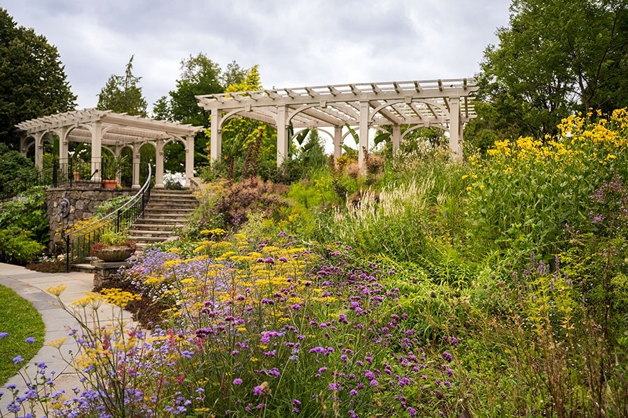 Where to See the Flowers As They Bloom in Boston