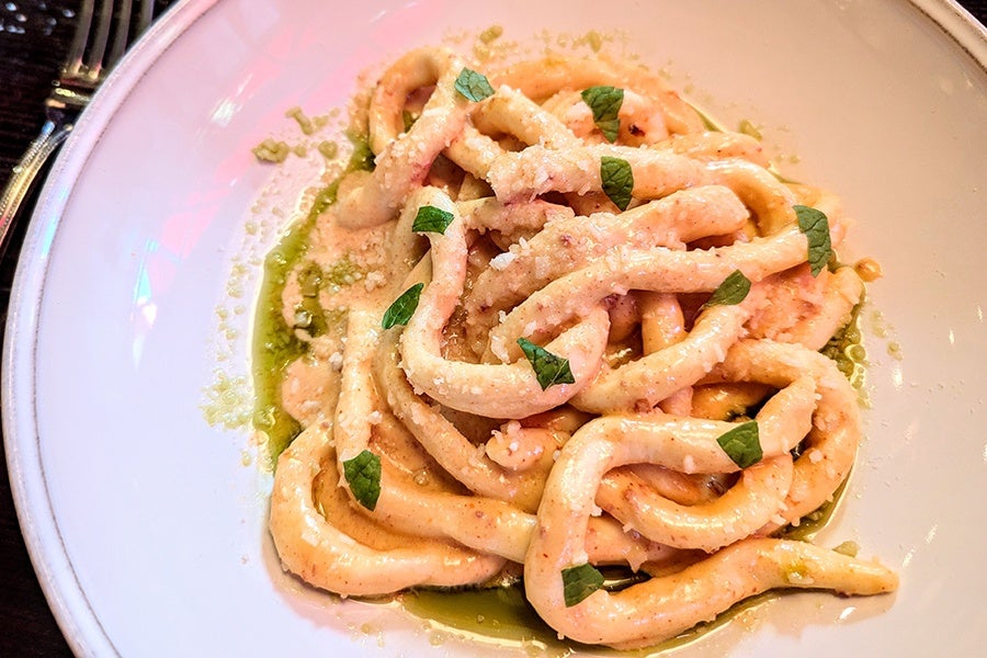 Thick pasta that looks like fat spaghetti sits in a pool of greenish oil, topped with little bits of fresh mint and a sprinkling of cheese.