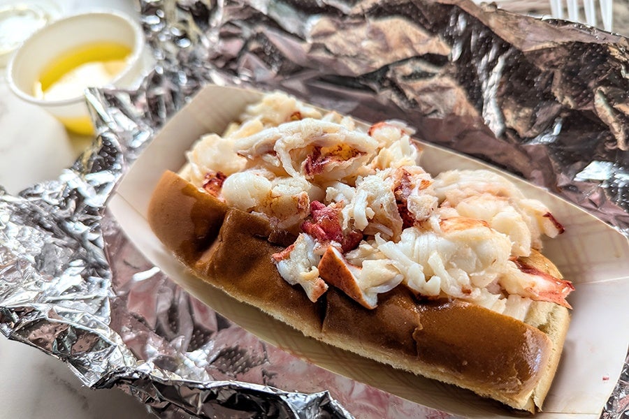 Chunks of lobster meat are served in a hot dog bun, with a small plastic cup of melted butter accompanying.