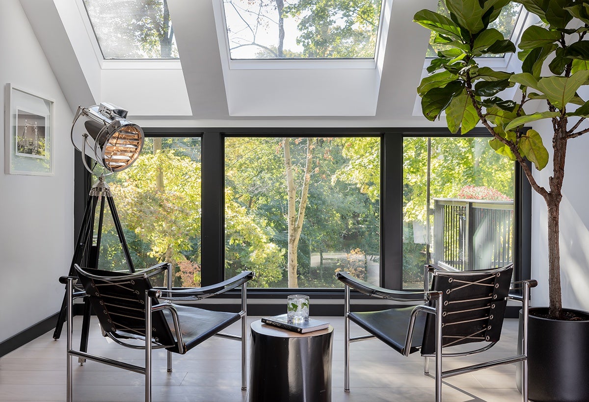 Two modern black leather and chrome chairs face a large window with a view of green trees. Between the chairs is a small black cylindrical table holding a book and a glass of water with mint. To the left, there is a large tripod floor lamp with a metallic spotlight head. On the right, a tall potted plant with broad green leaves adds natural decor. The room has skylights above, allowing natural light to fill the space.