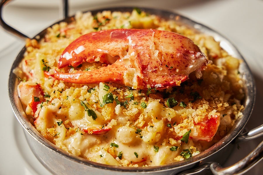 Creamy mac and cheese topped with breadcrumbs, herbs, and a lobster claw.