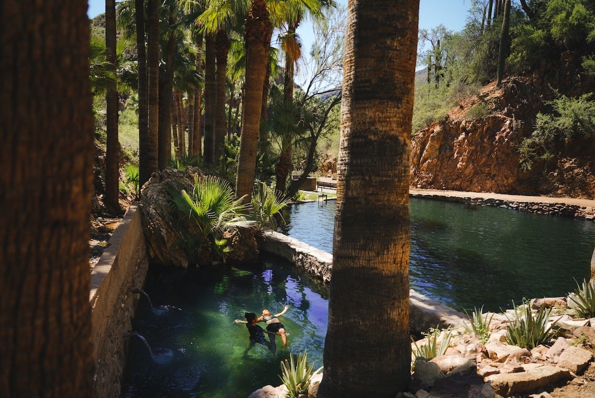 A natural outdoor pool surrounded by tall palm trees and rocky terrain. Two people are floating and relaxing in the clear green water of the pool, which is bordered by stone walls. The scene is sunlit with a bright blue sky visible above.