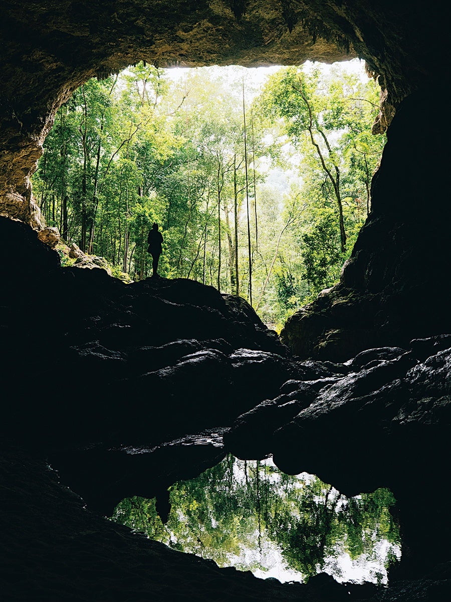View from inside a dark cave looking out to a bright forest with tall green trees. A silhouette of a person stands near the cave entrance on rocky ground. A pool of water inside the cave reflects the trees and the person.