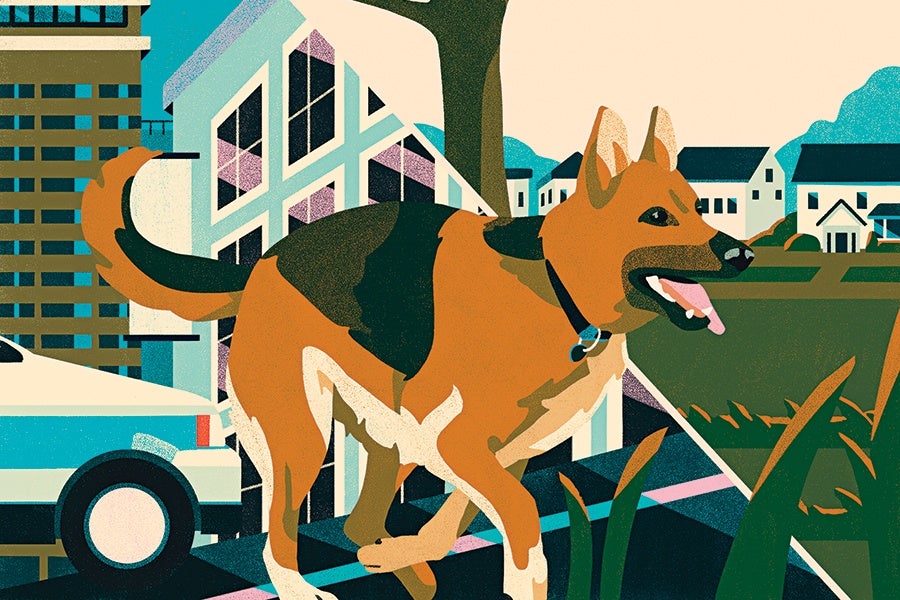 A stylized illustration of a German Shepherd dog standing outdoors. The dog has a black and brown coat with a collar and is depicted with its mouth open and tongue out. The background features a mix of urban and suburban elements, including buildings, houses, a tree, and a car. The color palette includes shades of green, blue, brown, and beige.