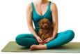A person wearing teal workout clothes is sitting cross-legged on a yoga mat, holding a small curly-haired brown dog in their lap.