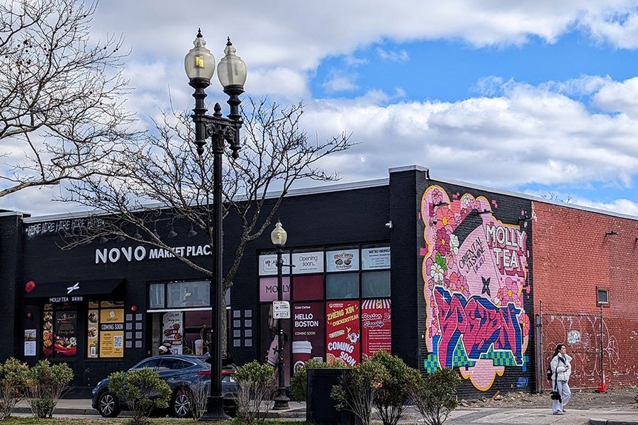A black brick building with "NOVO MARKET PLACE" signage and multiple storefronts, including one with a large colorful mural advertising "MOLLY TEA" featuring pink flowers and graffiti-style text. A leafless tree and a vintage-style streetlamp are in front of the building, with a parked car and a person walking on the sidewalk nearby. The sky is partly cloudy with patches of blue.