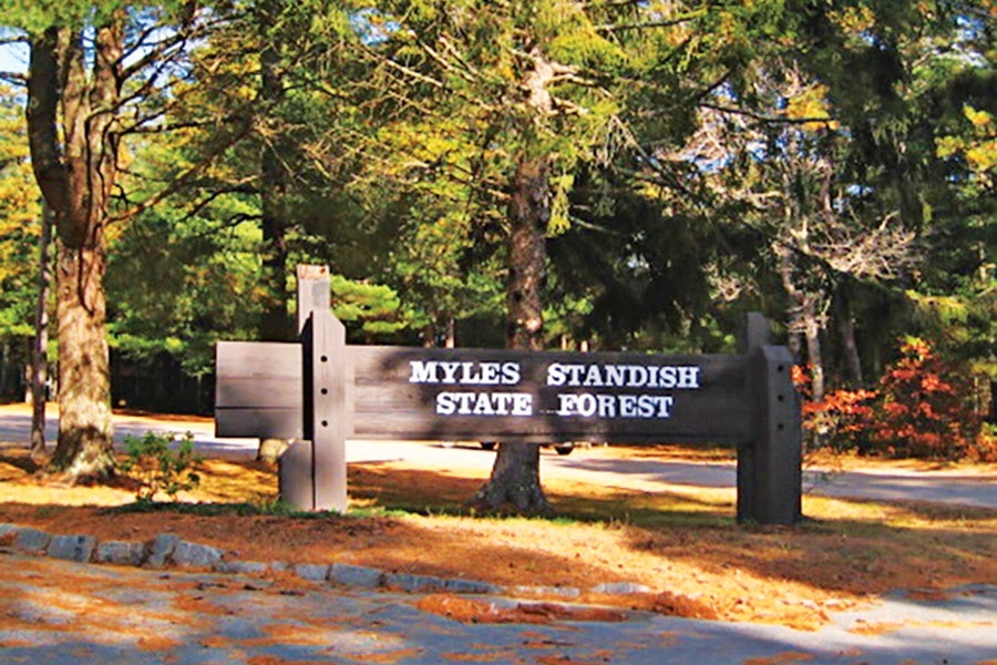 A wooden sign with white lettering that reads "MYLES STANDISH STATE FOREST," set among tall trees with green foliage and a ground covered in pine needles and some stone edging.