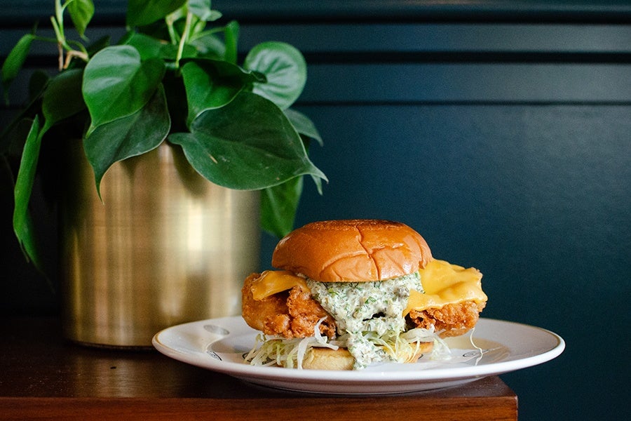 A fried fish sandwich with melted cheddar cheese, shredded lettuce, and a creamy herb sauce, served on a toasted bun on a white plate. A green leafy plant in a gold pot is in the background.