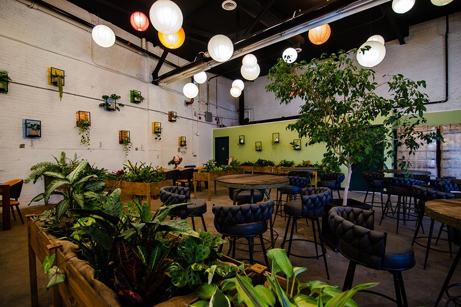 Indoor seating area with round wooden tables and black cushioned bar stools, surrounded by various green plants in wooden planters. The walls are white and light green, decorated with small framed plants. White, yellow, and red paper lanterns hang from the ceiling, providing warm lighting.