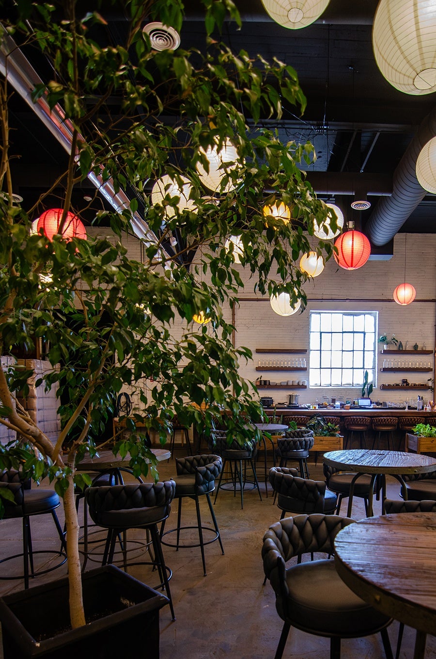 Indoor seating area of a cocktail bar with round wooden tables and black cushioned chairs. A large potted tree with green leaves is in the foreground. The ceiling is black with exposed ducts and hanging paper lanterns in white and red. A large window with multiple panes lets in natural light, and shelves with glassware and plants line the back wall. The floor is concrete.